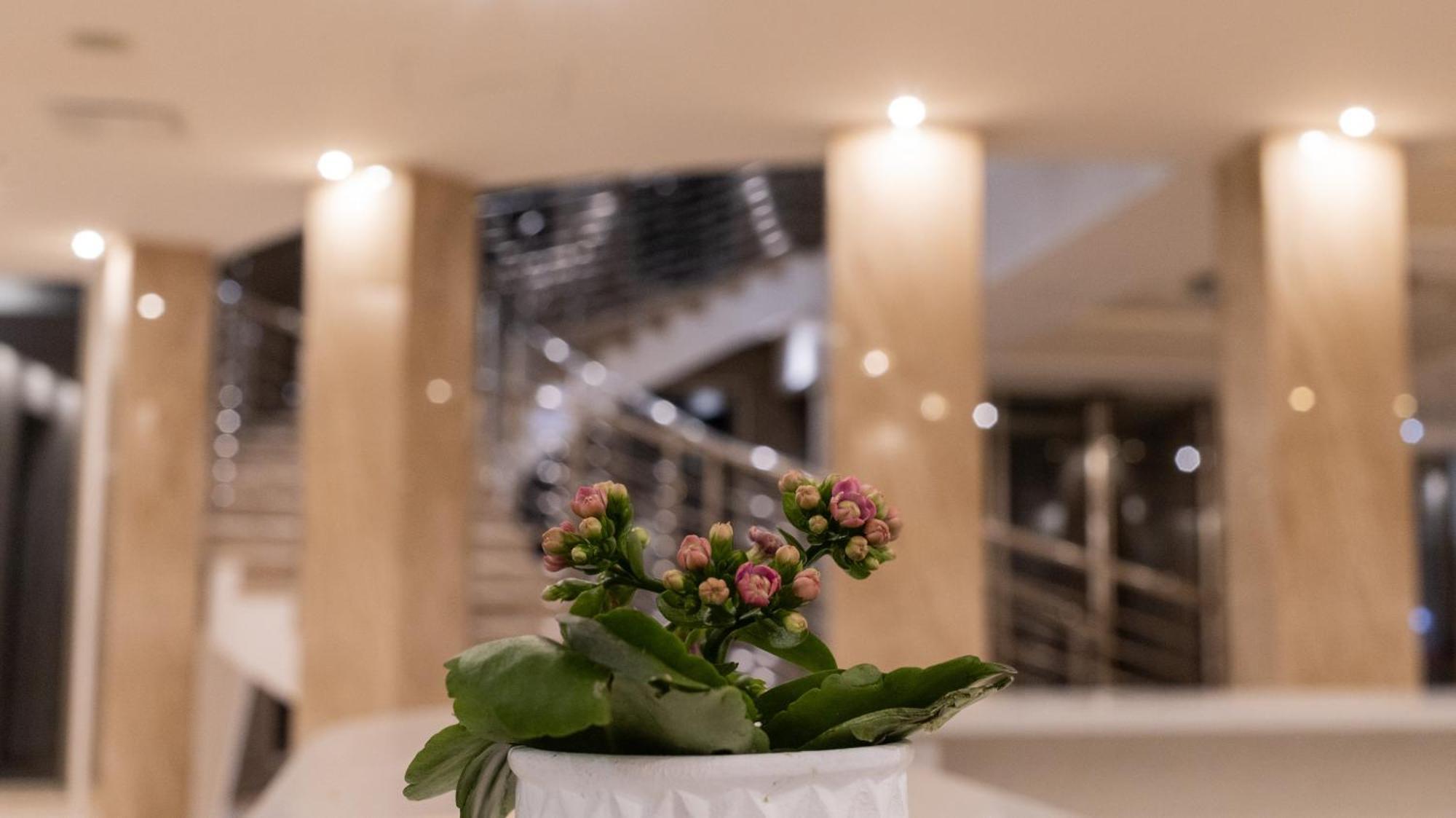 Hotel Donna Crescenza Locorotondo Exterior photo